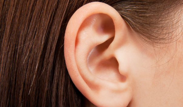 ear